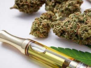 CBD 50 Plus - Image 6